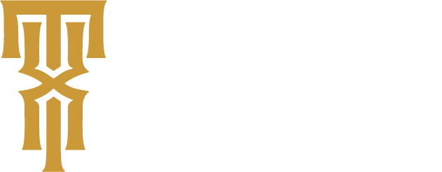 Tandem X Visuals